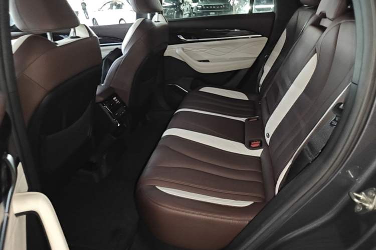 Used Geely Auto Monjaro L 2023 2.0TD High-Power Automatic Two-Wheel Drive Flagship Version Left Rear Seat