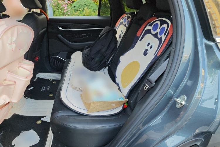 Used Geely Auto Monjaro L 2023 2.0TD High-Power Automatic Two-Wheel Drive Flagship Version Left Rear Seat