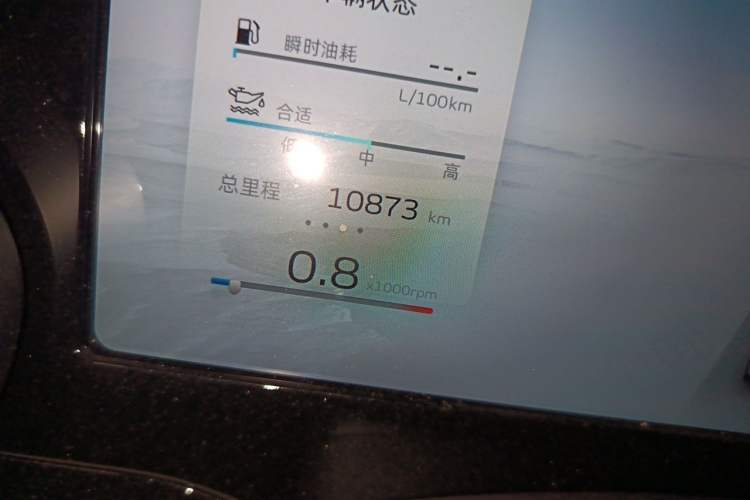 Used Geely Auto Monjaro L 2023 2.0TD High-Power Automatic Two-Wheel Drive Flagship Version Odometer Close Up