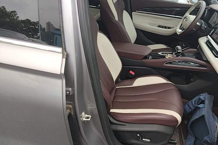 Used Geely Auto Monjaro L 2023 2.0TD High-Power Automatic Two-Wheel Drive Flagship Version Right Front Seat