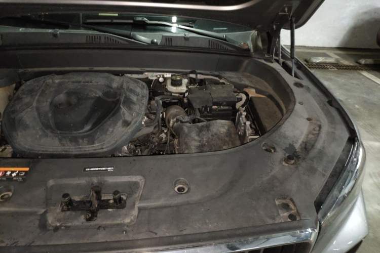 Used Geely Auto Monjaro L 2023 2.0TD High-Power Automatic Two-Wheel Drive Flagship Version Engine Bay Left