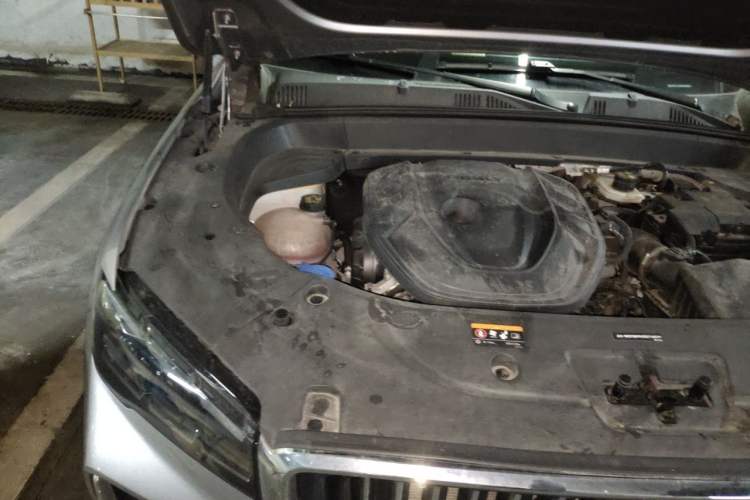 Used Geely Auto Monjaro L 2023 2.0TD High-Power Automatic Two-Wheel Drive Flagship Version Engine Bay Right