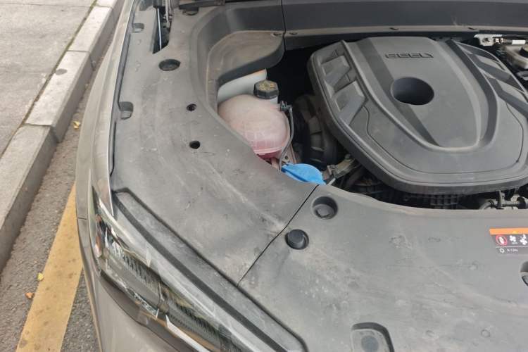 Used Geely Auto Monjaro L 2023 2.0TD High-Power Automatic Two-Wheel Drive Flagship Version Engine Bay Right