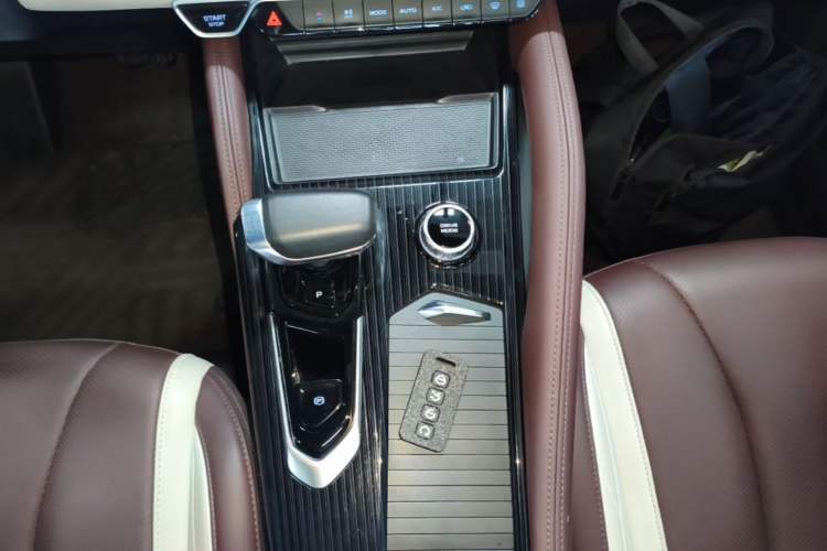Used Geely Auto Monjaro L 2023 2.0TD High-Power Automatic Two-Wheel Drive Flagship Version Gear Lever