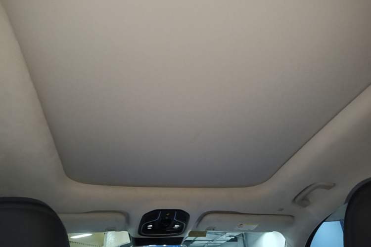 Used Geely Auto Monjaro L 2023 2.0TD High-Power Automatic Two-Wheel Drive Flagship Version Headliner
