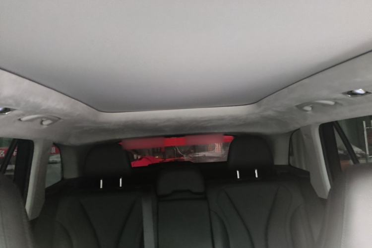 Used Geely Auto Monjaro L 2023 2.0TD High-Power Automatic Two-Wheel Drive Flagship Version Headliner