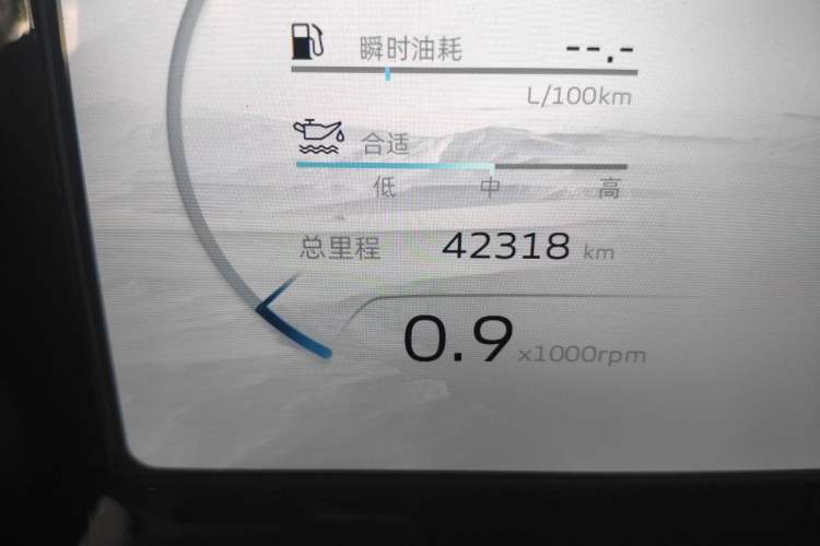 Used Geely Auto Monjaro L 2023 2.0TD High-Power Automatic Two-Wheel Drive Flagship Version Odometer Close Up