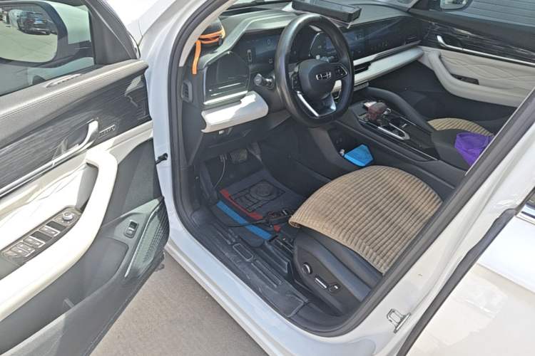 Used Geely Auto Monjaro L 2023 2.0TD High-Power Automatic Two-Wheel Drive Flagship Version Driver Seat