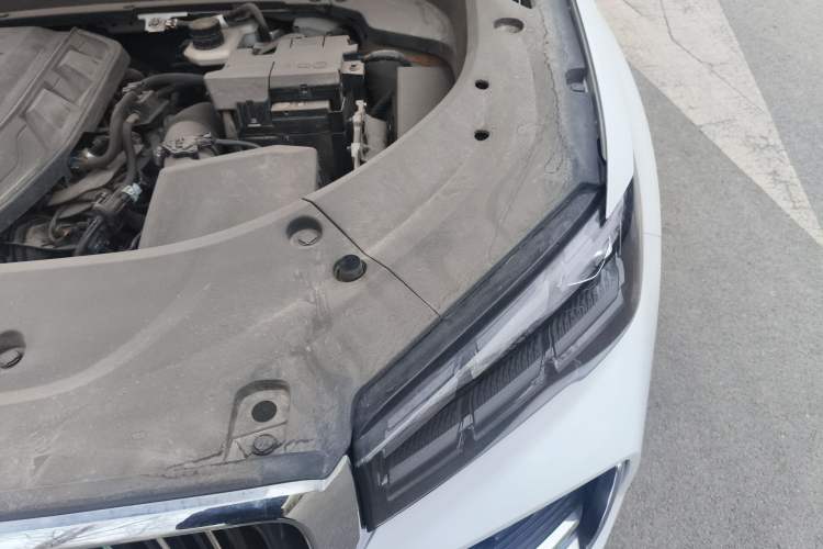 Used Geely Auto Monjaro L 2023 2.0TD High-Power Automatic Two-Wheel Drive Flagship Version Engine Bay Left