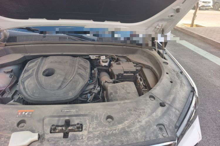 Used Geely Auto Monjaro L 2023 2.0TD High-Power Automatic Two-Wheel Drive Flagship Version Engine Bay Left