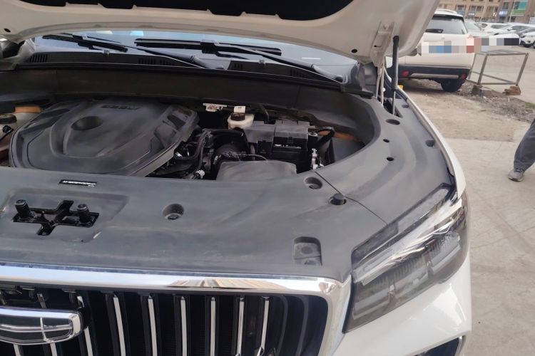Used Geely Auto Monjaro L 2023 2.0TD High-Power Automatic Two-Wheel Drive Flagship Version Engine Bay Left