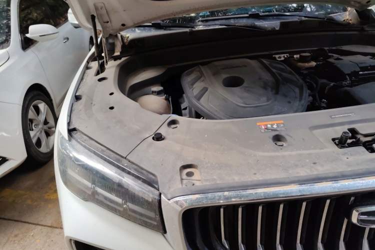 Used Geely Auto Monjaro L 2023 2.0TD High-Power Automatic Two-Wheel Drive Flagship Version Engine Bay Right