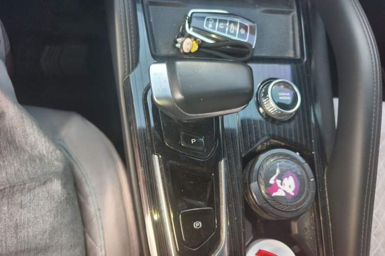 Used Geely Auto Monjaro L 2023 2.0TD High-Power Automatic Two-Wheel Drive Flagship Version Gear Lever