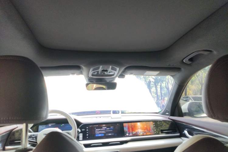 Used Geely Auto Monjaro L 2023 2.0TD High-Power Automatic Two-Wheel Drive Flagship Version Headliner
