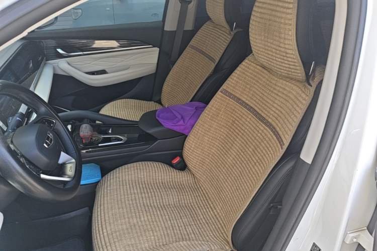 Used Geely Auto Monjaro L 2023 2.0TD High-Power Automatic Two-Wheel Drive Flagship Version Left Front Seat