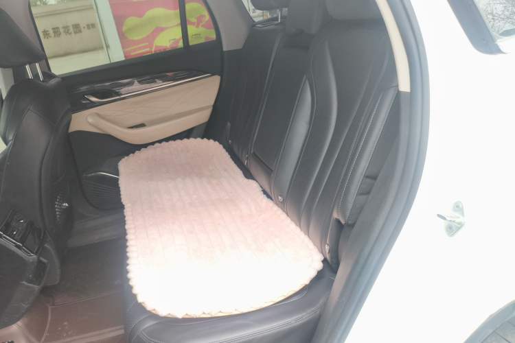 Used Geely Auto Monjaro L 2023 2.0TD High-Power Automatic Two-Wheel Drive Flagship Version Left Rear Seat