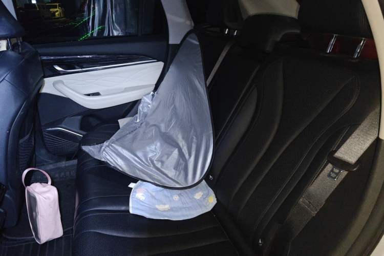 Used Geely Auto Monjaro L 2023 2.0TD High-Power Automatic Two-Wheel Drive Flagship Version Left Rear Seat