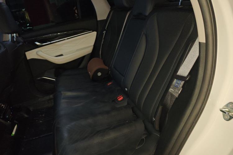 Used Geely Auto Monjaro L 2023 2.0TD High-Power Automatic Two-Wheel Drive Flagship Version Left Rear Seat