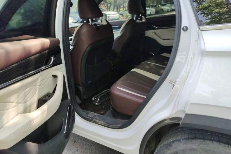 Used Geely Auto Monjaro L 2023 2.0TD High-Power Automatic Two-Wheel Drive Flagship Version Left Rear Seat
