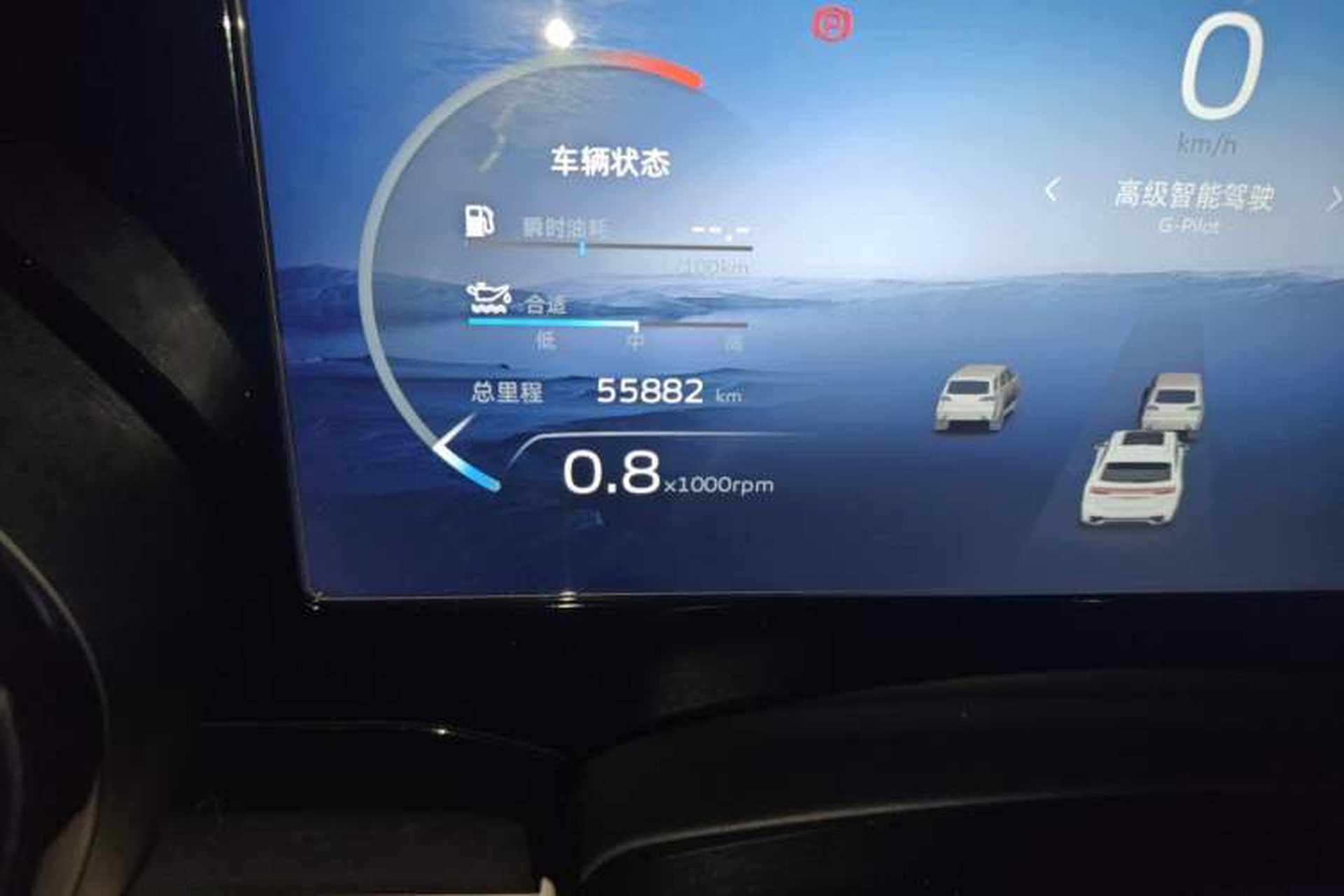 Used Geely Auto Monjaro L 2023 2.0TD High-Power Automatic Two-Wheel Drive Flagship Version Odometer Close Up