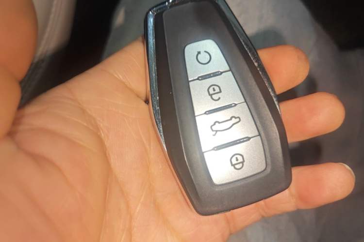 Used Geely Auto Monjaro L 2023 2.0TD High-Power Automatic Two-Wheel Drive Flagship Version Vehicle Key