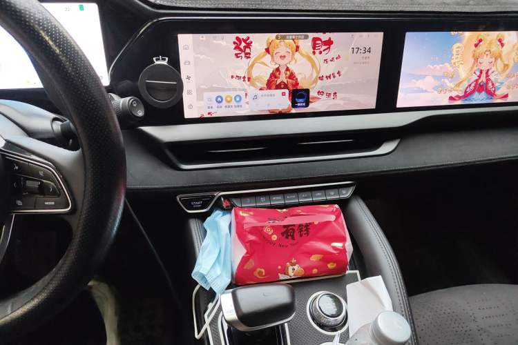 Used Geely Auto Monjaro L 2024 2.0TD High-Power Automatic Two-Wheel Drive Skyline Edition Audio And AC Panel