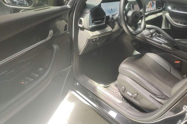 Used Geely Auto Monjaro L 2024 2.0TD High-Power Automatic Two-Wheel Drive Skyline Edition Driver Seat