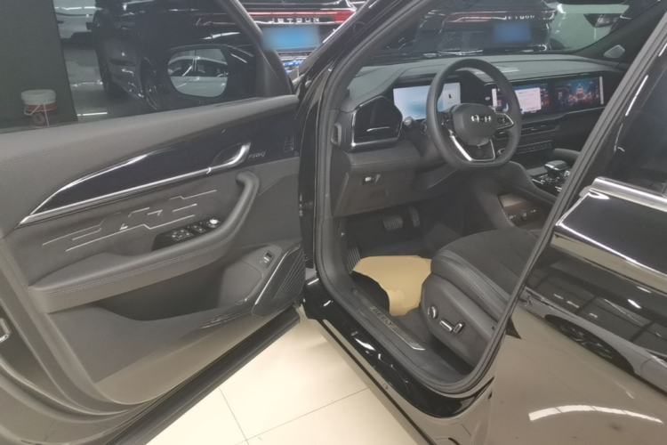 Used Geely Auto Monjaro L 2024 2.0TD High-Power Automatic Two-Wheel Drive Skyline Edition Driver Seat