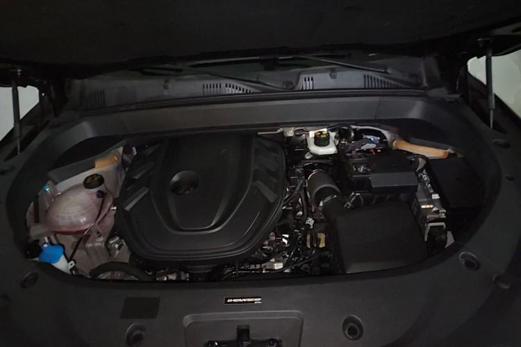 Used Geely Auto Monjaro L 2024 2.0TD DCT EVO Two-Wheel Drive Long-Range Version Engine Bay