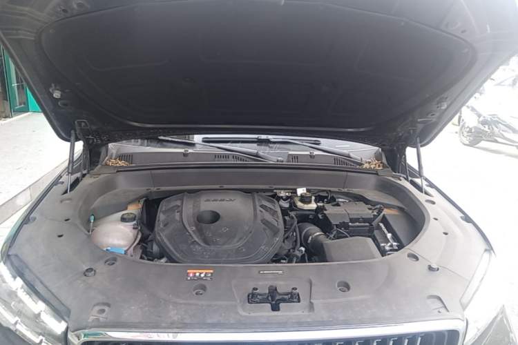 Used Geely Auto Monjaro L 2024 2.0TD DCT EVO Two-Wheel Drive Prestige Version Engine Bay