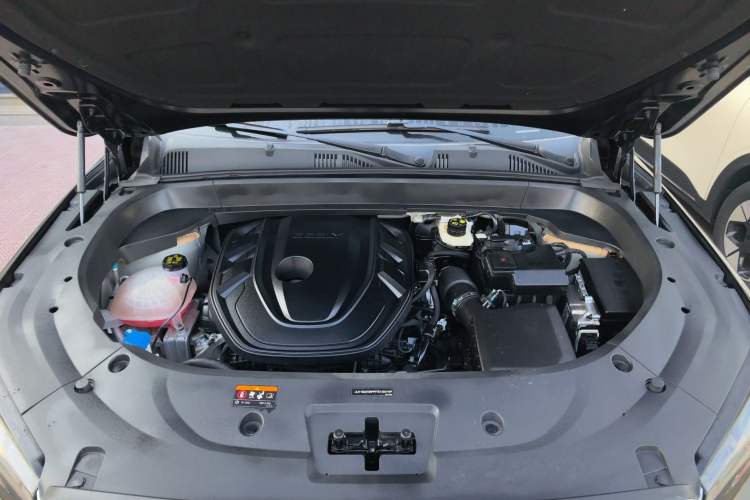 Used Geely Auto Monjaro L 2024 2.0TD High-Power Automatic Two-Wheel Drive Skyline Edition Engine Bay