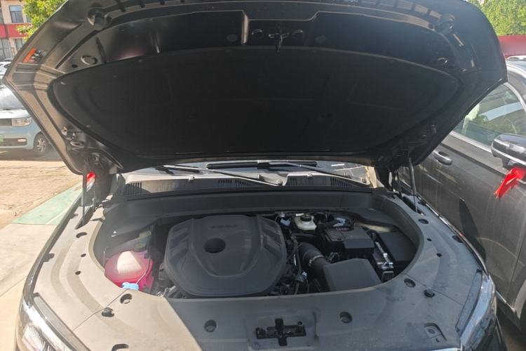 Used Geely Auto Monjaro L 2024 2.0TD DCT EVO Two-Wheel Drive Long-Range Version Engine Bay