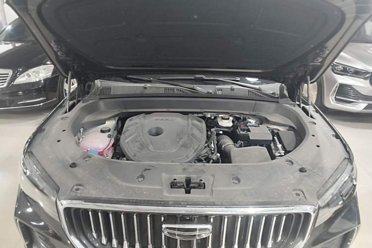 Used Geely Auto Monjaro L 2024 2.0TD DCT EVO Two-Wheel Drive Long-Range Version Engine Bay
