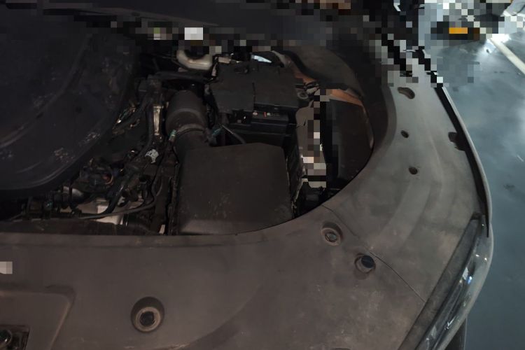 Used Geely Auto Monjaro L 2024 2.0TD DCT EVO Two-Wheel Drive Long-Range Version Engine Bay Left
