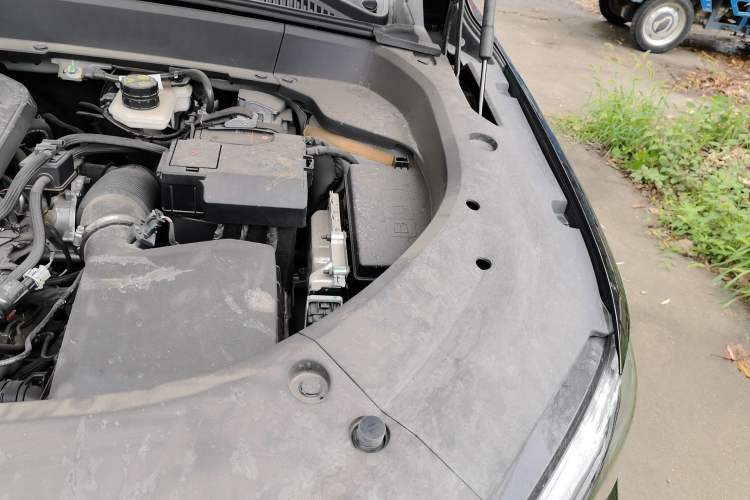 Used Geely Auto Monjaro L 2024 2.0TD High-Power Automatic Two-Wheel Drive Skyline Edition Engine Bay Left