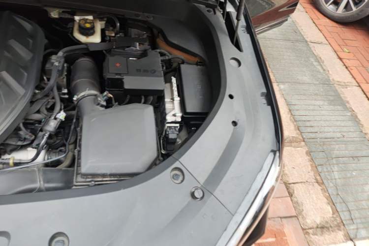 Used Geely Auto Monjaro L 2024 2.0TD High-Power Automatic Two-Wheel Drive Skyline Edition Engine Bay Left