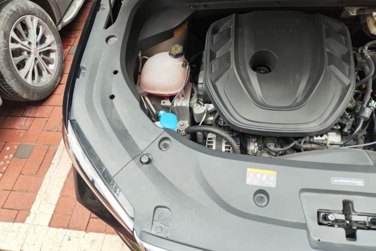 Used Geely Auto Monjaro L 2024 2.0TD High-Power Automatic Two-Wheel Drive Skyline Edition Engine Bay Right