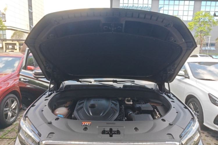 Used Geely Auto Monjaro L 2024 2.0TD High-Power Automatic Two-Wheel Drive Skyline Edition Engine Bay