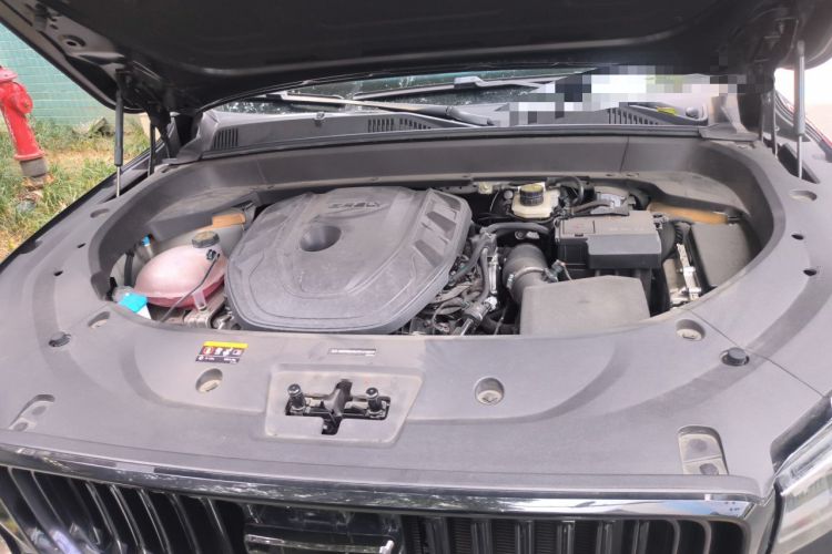 Used Geely Auto Monjaro L 2024 2.0TD High-Power Automatic Two-Wheel Drive Skyline Edition Engine Bay