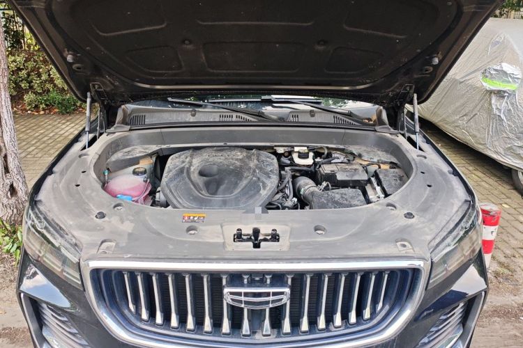 Used Geely Auto Monjaro L 2024 2.0TD High-Power Automatic Two-Wheel Drive Skyline Edition Engine Bay