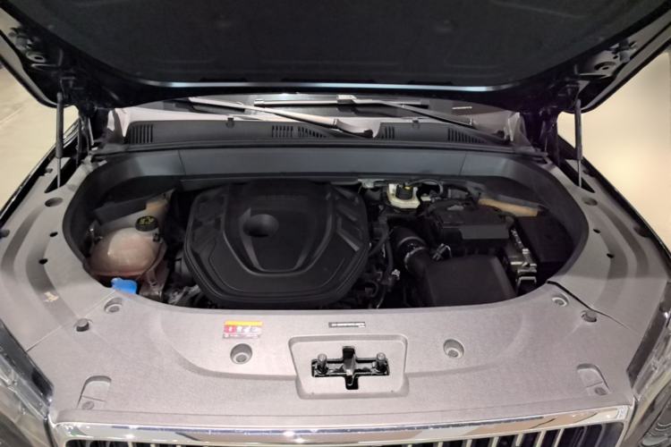 Used Geely Auto Monjaro L 2024 2.0TD High-Power Automatic Two-Wheel Drive Yunqi Version Engine Bay