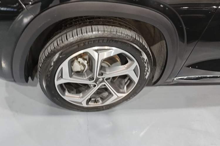 Used Geely Auto Monjaro L 2024 2.0TD DCT EVO Two-Wheel Drive Long-Range Version Exterior 4