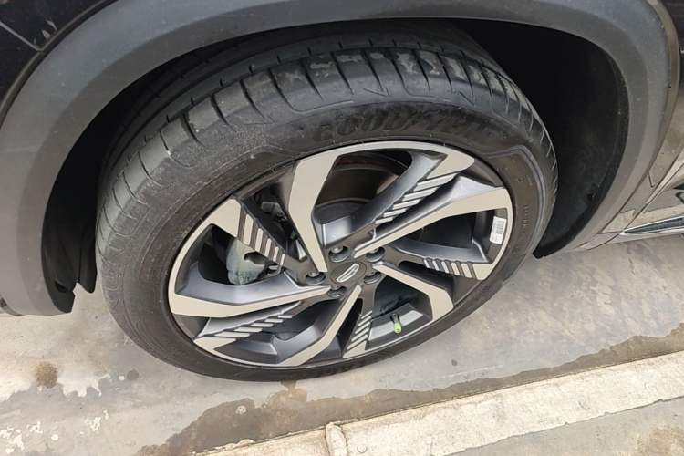Used Geely Auto Monjaro L 2024 2.0TD High-Power Automatic Two-Wheel Drive Skyline Edition Exterior 4