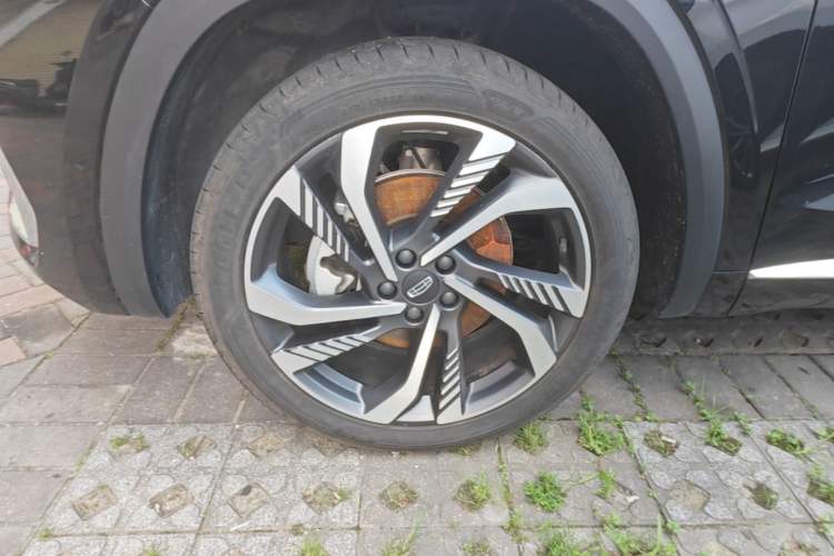 Used Geely Auto Monjaro L 2024 2.0TD High-Power Automatic Two-Wheel Drive Skyline Edition Exterior 4