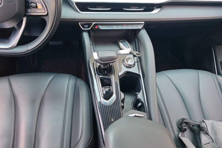 Used Geely Auto Monjaro L 2024 2.0TD DCT EVO Two-Wheel Drive Long-Range Version Gear Lever