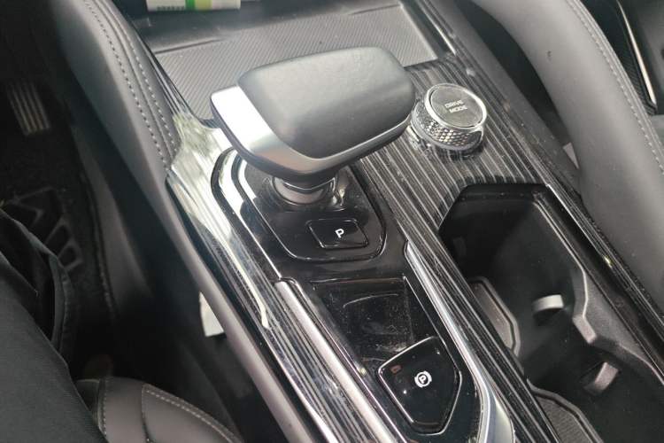 Used Geely Auto Monjaro L 2024 2.0TD High-Power Automatic Two-Wheel Drive Skyline Edition Gear Lever