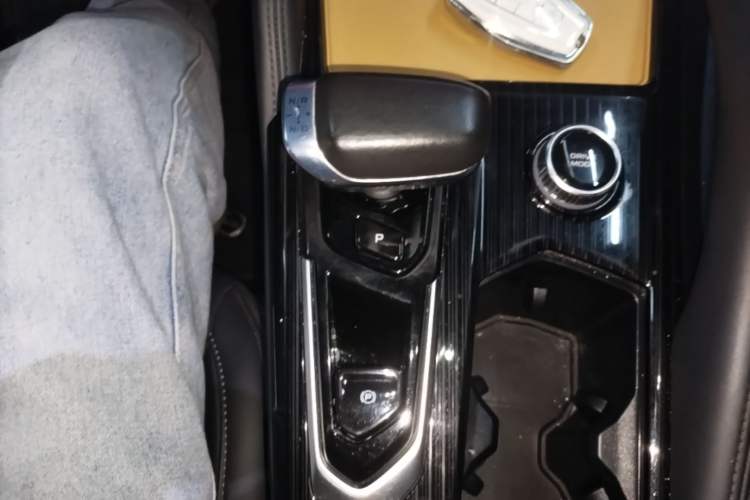 Used Geely Auto Monjaro L 2024 2.0TD High-Power Automatic Two-Wheel Drive Skyline Edition Gear Lever