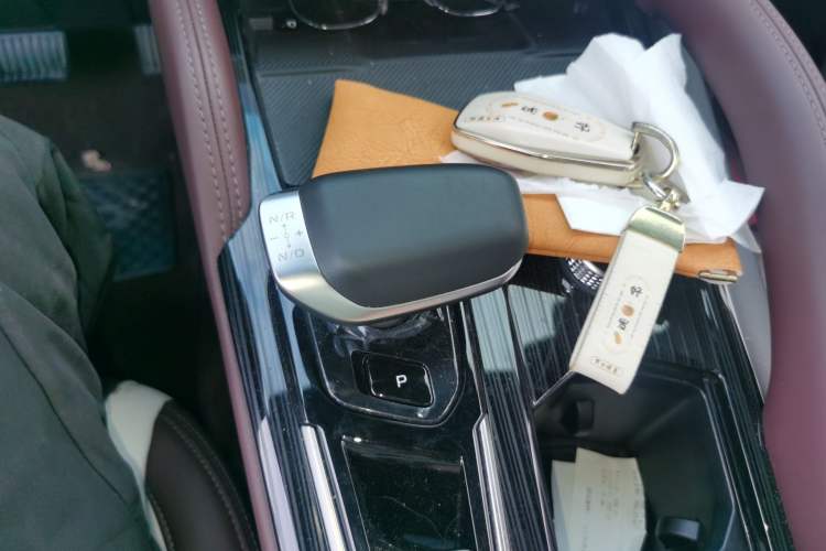 Used Geely Auto Monjaro L 2024 2.0TD High-Power Automatic Two-Wheel Drive Skyline Edition Gear Lever