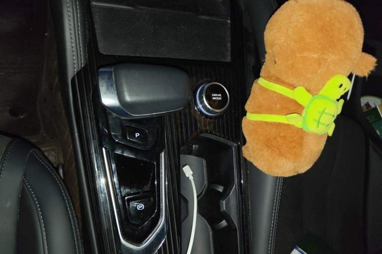 Used Geely Auto Monjaro L 2024 2.0TD High-Power Automatic Two-Wheel Drive Skyline Edition Gear Lever