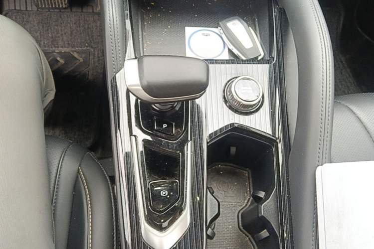 Used Geely Auto Monjaro L 2024 2.0TD DCT EVO Two-Wheel Drive Long-Range Version Gear Lever